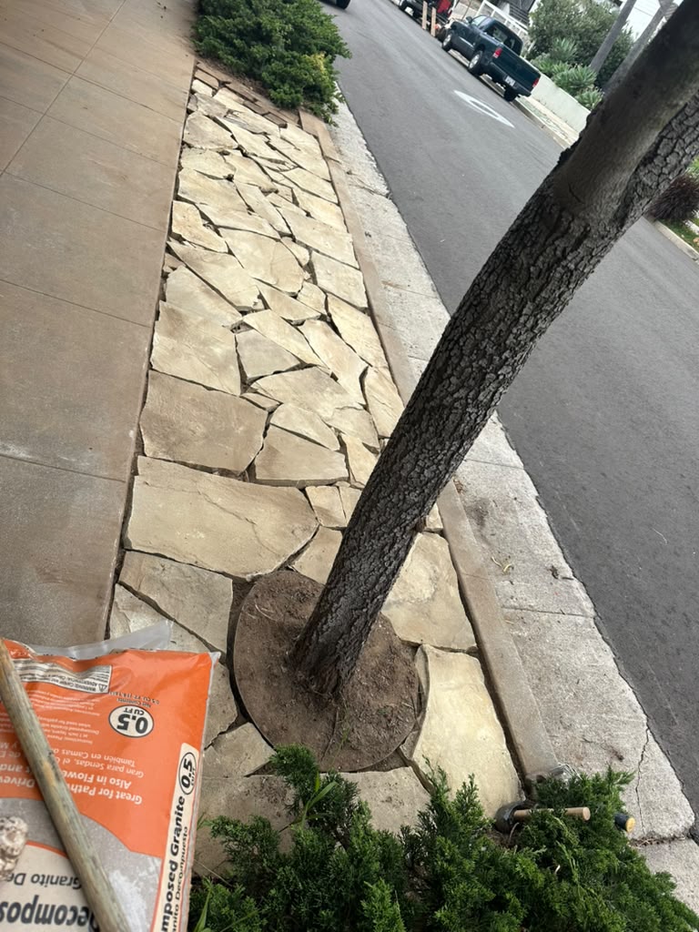Piedra laja alrededor del árbol